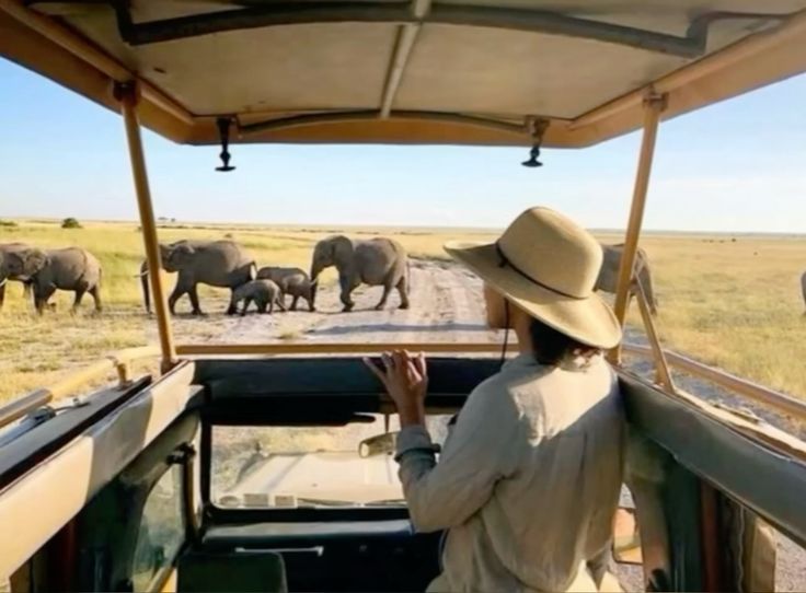 Expertly Guided Tours